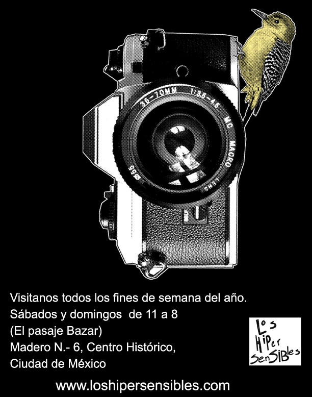 De México para el mundo.